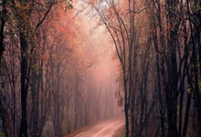 深圳佳兆业主场大捷，发挥出色