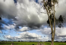 萨索洛客场大胜，排名逐渐攀升