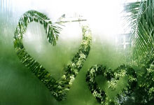 名将表现抢眼，助球队成功晋级