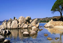 步行者主场告捷，迅速攀升西部排名