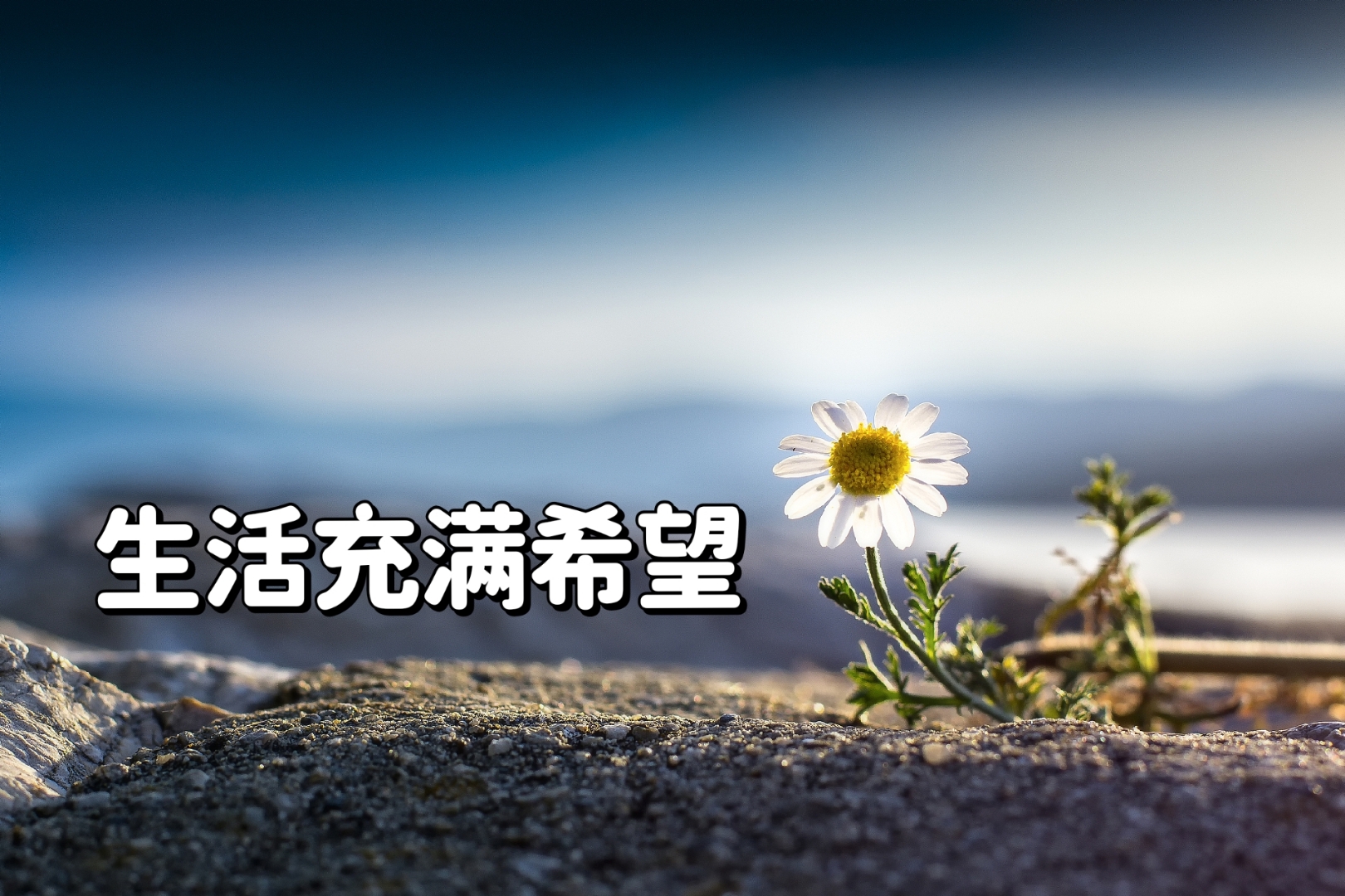 “最没希望的一年”，年底的S赛会是LPL的救命稻草吗？