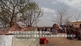 潜在危机！不莱梅连败加剧保级危机
